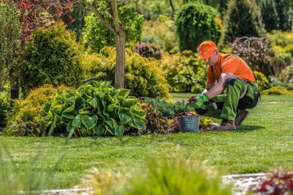 Professional Garden Worker
