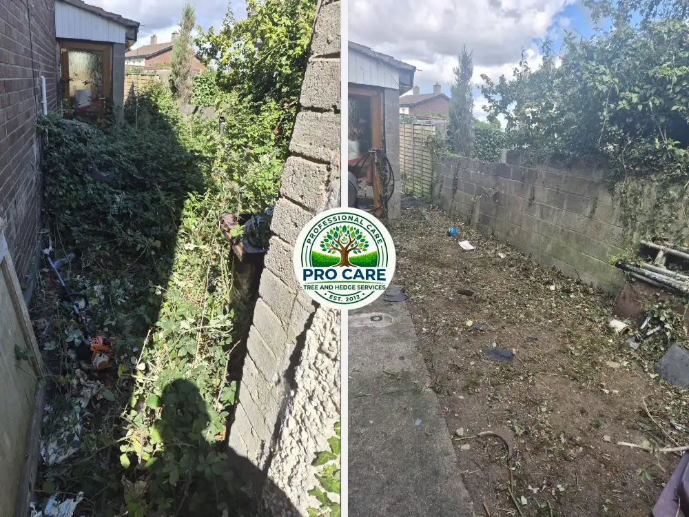 Before and after garden clearance by Pro Care Tree and Hedge Services — overgrown side passage choked with ivy and weeds on the left, fully cleared path and yard down to bare ground on the right.
