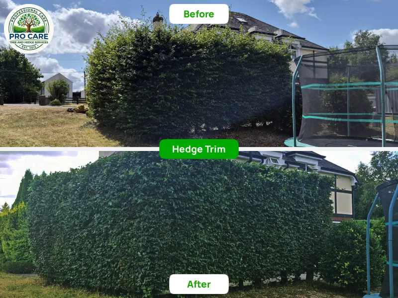Before and after hedge trim showing tall overgrown hedge cut back neatly beside a back garden trampoline, Procare Tree and Hedge Services