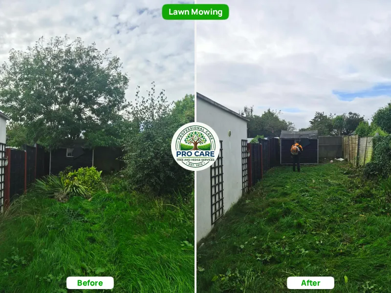 Lawn mowing service of back garden - before and after photos